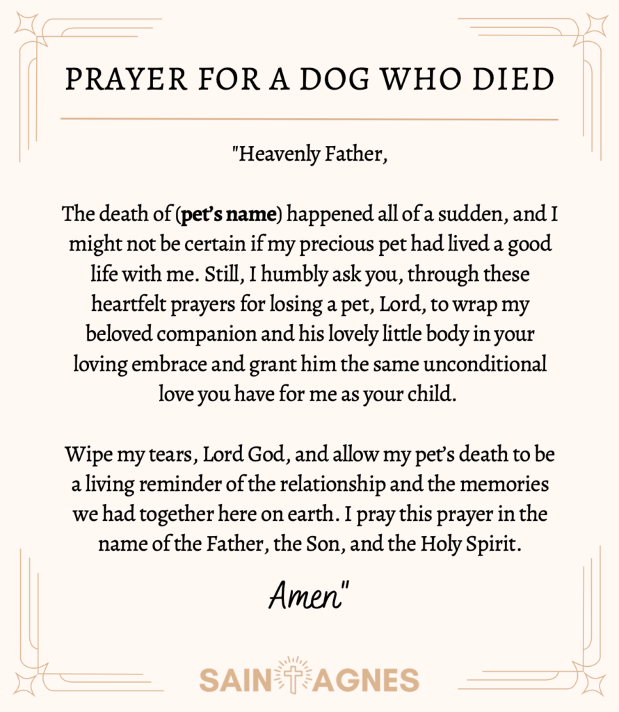 7 Prayers for a Dog Who Died and Dog in Heaven