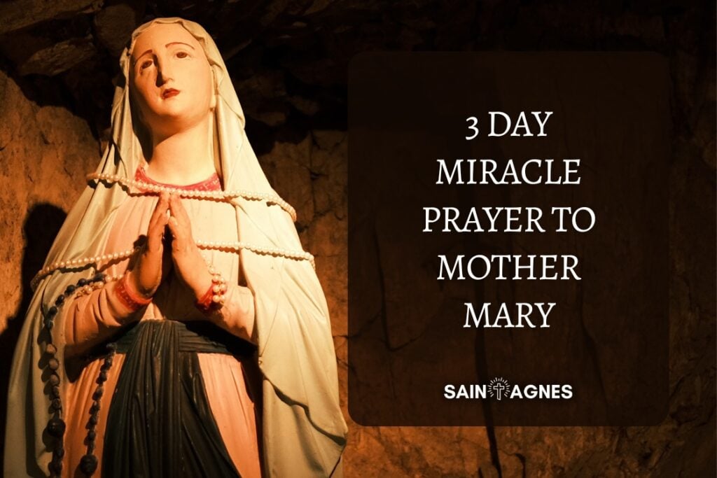 3 Day Miracle Prayer to Mother Mary (Never Known to Fail)